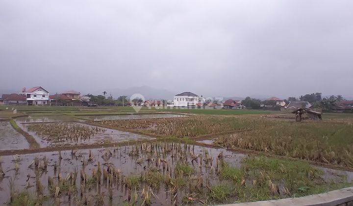 Tanah Bagus Di Sumedang jawa Barat 2