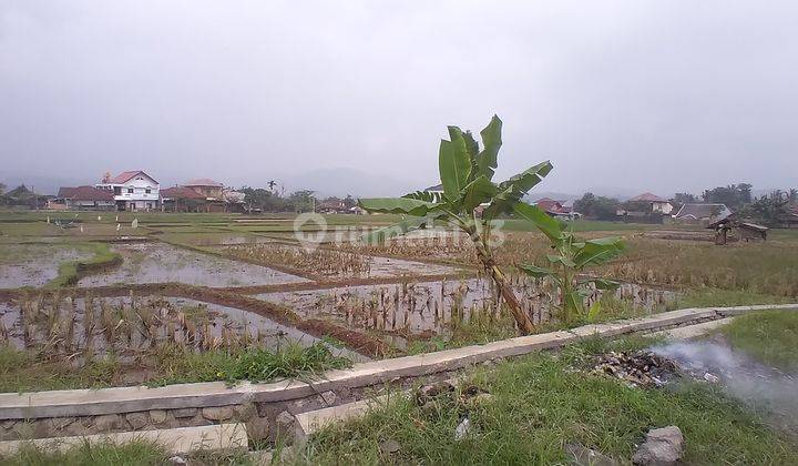 Tanah Bagus Di Sumedang jawa Barat 2