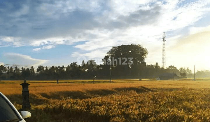 Tanah murah di central ubud view cantik bonus rumah 2