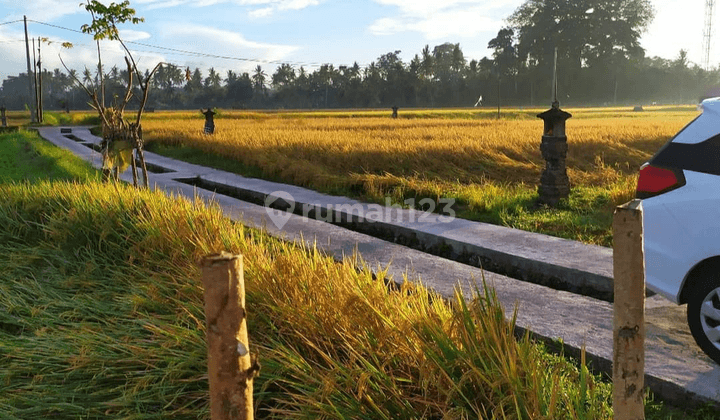 Tanah murah di central ubud view cantik bonus rumah 1