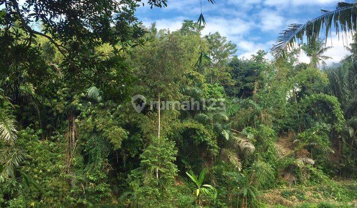 Dijual Tanah Di Singakerta Ubud View Sawah 1