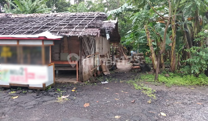 Lahan di Jalan Besar Anyer Depan Wisma Musro Lahan di Jalan Besar Anyer Depan Wisma Musro