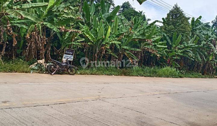 Lahan Anyer Cinangka Bisa Disewakan 50jt per tahun 1