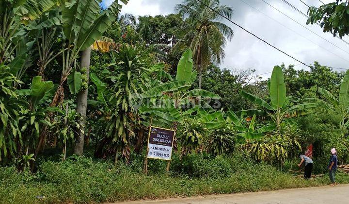 Lahan di Jalan Utama Cinangka Anyer 1