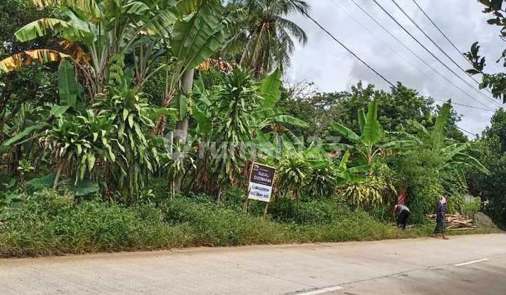 Land on Cinangka Anyer Main Road