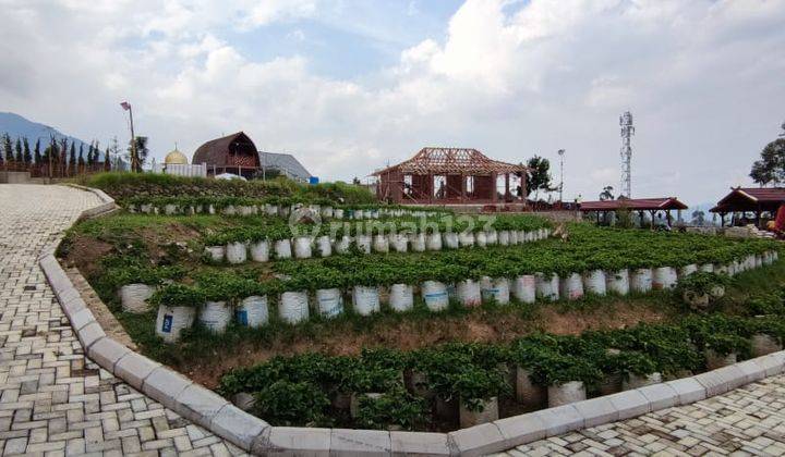 Rumah Villa Sangat Asri Hitung Tanah di Ciwidey 1