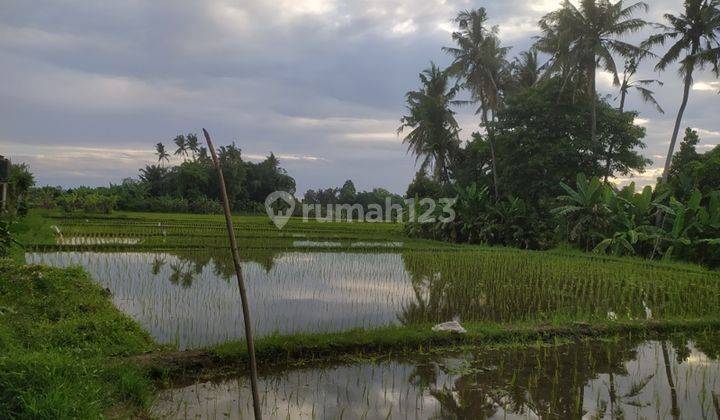 Land for rent in Denpasar Bali jl Ahmad Yani near Darmasaba, Mambal, Puspem Badung 1