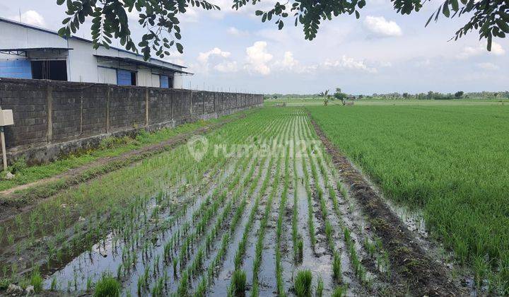 Tanah Industri di Nol Jalan Propinsi Rejoso Nganjuk 1