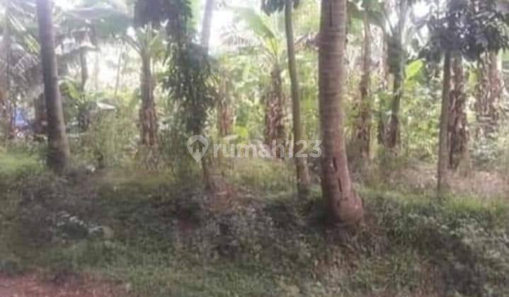 Kebon Cinangka Anyer Hanya 300jt 2