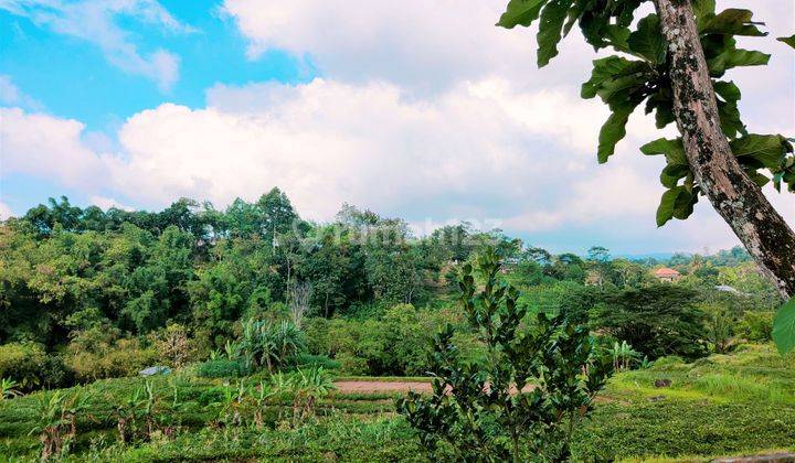 Tanah Dekat Ponpes Isy Karima &amp; Al Azhar Karangpandan Karanganyar 2