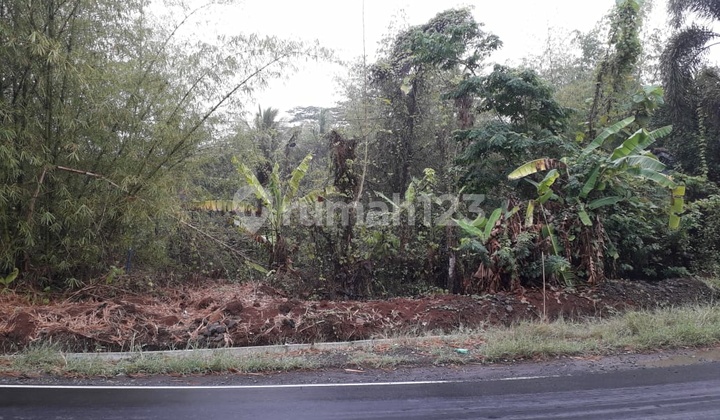 Cheap Land Plot for Sale in Banjar City Area, West Java Cheap Land Plot for Sale in Banjar City Area, West Java