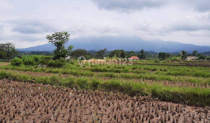 Tanah Strategis Subur View Bagus Jalur Wisata Untuk Agro Wisata 1