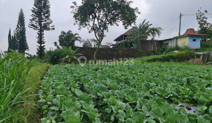 Tanah pemandangan indah di kemuning karanganyar solo 2