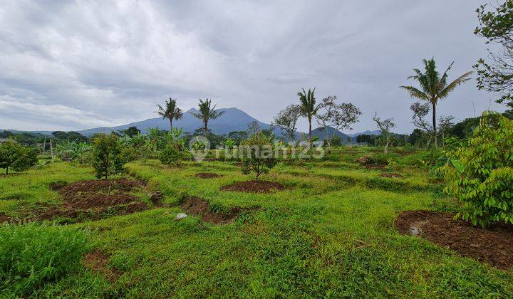 Tanah pemandangan gunung lawu di karangpandan solo 2