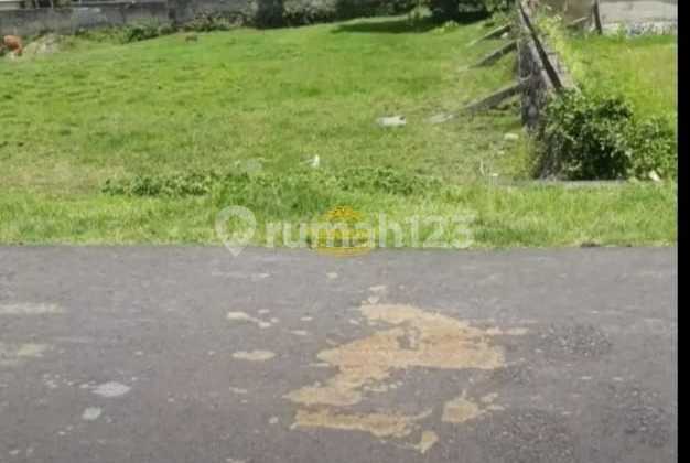 Tanah Jual Lokasi Dalung