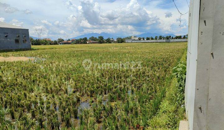 tanah majalaya - rancaekek 1