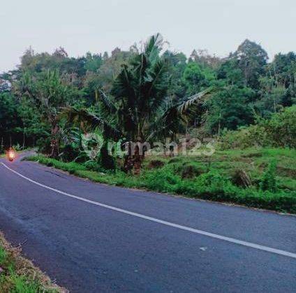 Sawah 4.201m2 Barat Rm Putri Duyung Karangpandan 2