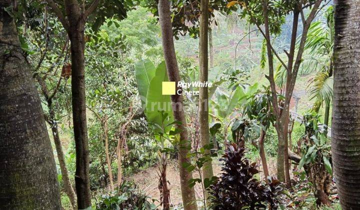 Tanah Super Luas, Super Keren di Gunung Geulis, Puncak 2