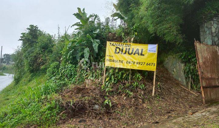 Tanah Super Luas, Super Keren di Gunung Geulis, Puncak 1