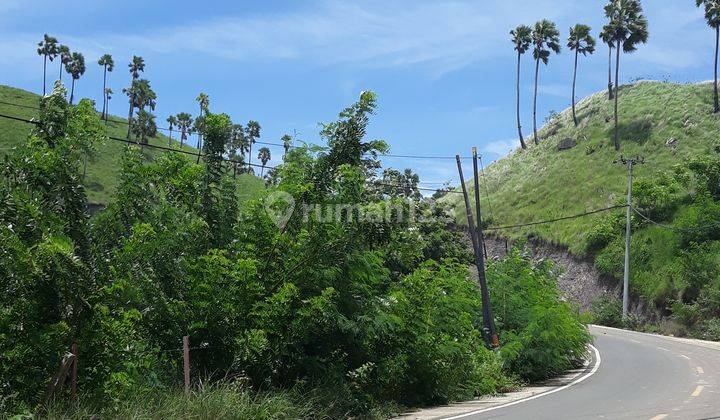 Tanah dibukit diatas jalan raya aspal dekat plataran komodo, dengan pemandangan sunset dan ocean view. Investasi terbaik 2022 di labuan bajo 2