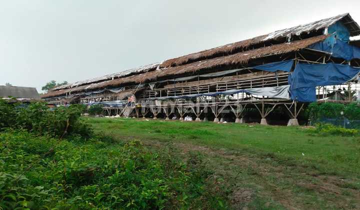TANAH ATAU LAHAN MURAH DI TANGERANG KABUPATEN Cocok Untuk Dikembangkan Menjadi Perumahan Atau Cluster TANAH ATAU LAHAN MURAH DI TANGERANG KABUPATEN Cocok Untuk Dikembangkan Menjadi Perumahan Atau Cluster