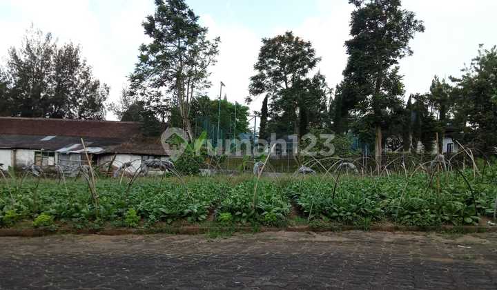 Dijual Cepat Kavling Di Villa Bougenville 2 Puncak Cipanas Dijual Cepat Kavling Di Villa Bougenville 2 Puncak Cipanas