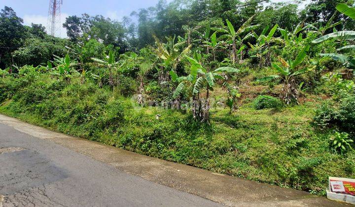 Tanah murah pinggir jalan di kerjo karangayar 1