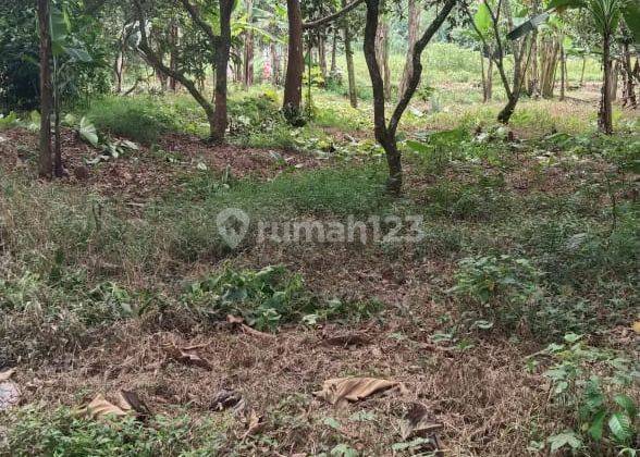 Tanah Curug Serang strategis siap bangun siap nego 1