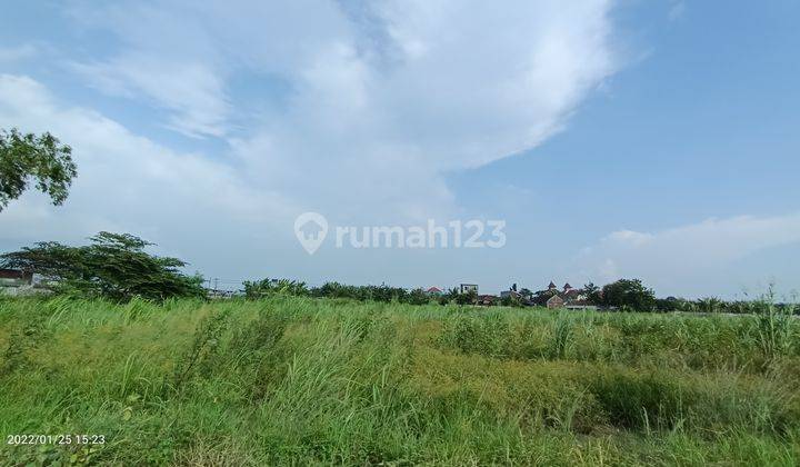 Tanah  Raya Bringkang Menganti 2