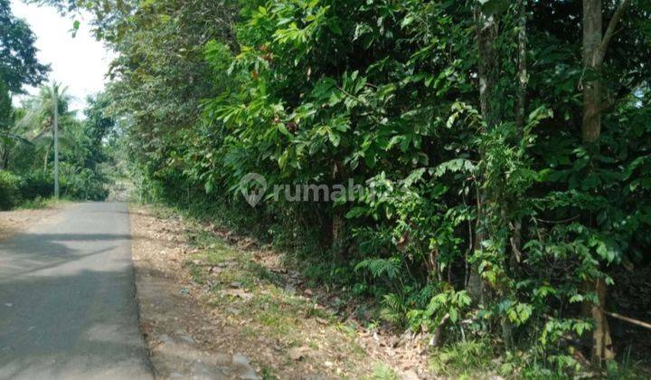 Tanah Murah Jembrana Bali cocok untuk Gudang 2