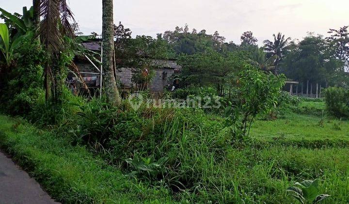 Tanah Sawah Murah Area Jl. Magelang km 17 1