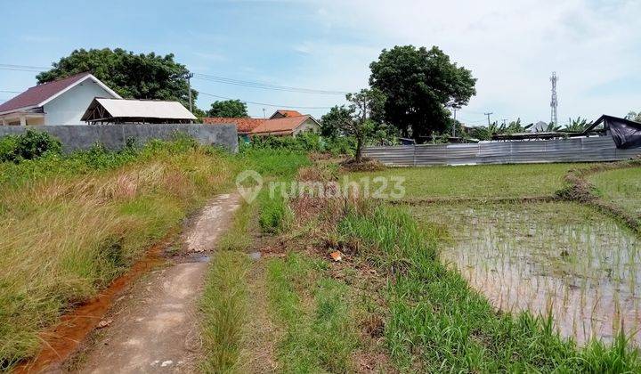 Tanah Jl. Ciranggon Bojonegara Nego Halus 2