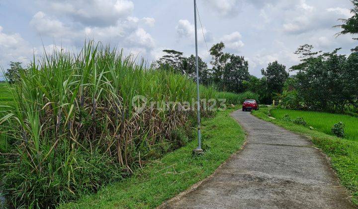 Tanah luas pemandangan indah di karangpandan solo 2