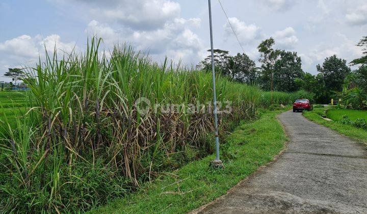 Tanah Luas Pemandangan Indah Di Karangpandan Solo 2