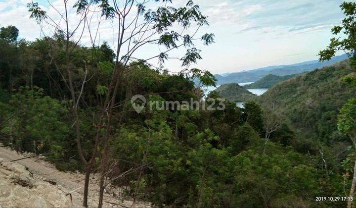 Tanah rata di boleng, labuan bajo 1