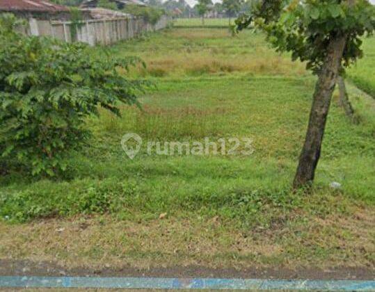 28 x 63 Kav Jln Raya Nasional dekat Pelabuhan Internasional Patimban 1