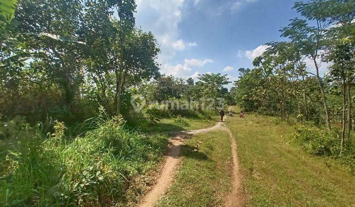 Tanah Kebun Potensial untuk Rumah siap bangun di Bawen 1