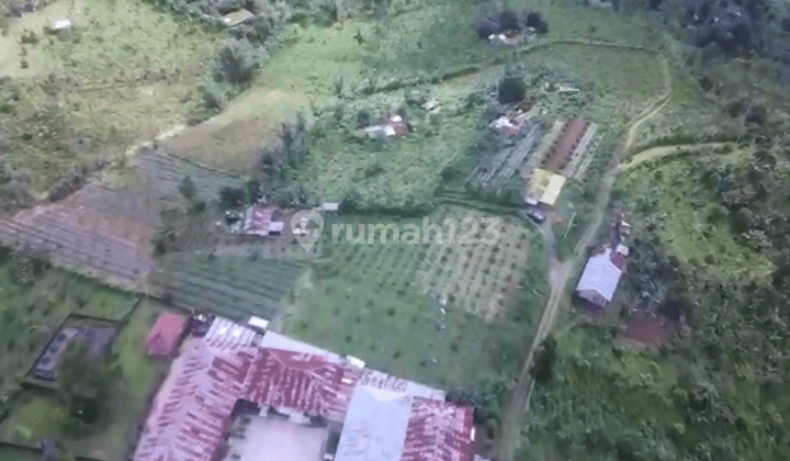 SEA AND MOUNTAIN VIEW LAND IN BULELENG 1