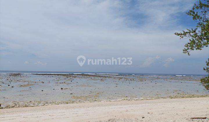 tanah beach front langka di gili trawangan lombok 1