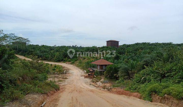 TANAH SUPER LUAS DI KALIMANTAN 1