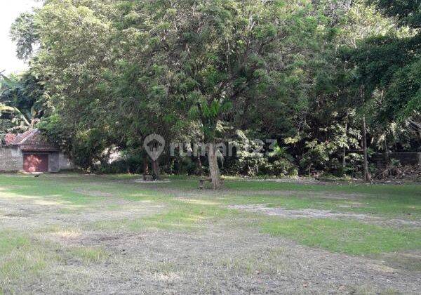 Tanah Kavling Pinggir Jalan di Anyer Serang Banten Lt 8500 m 2
