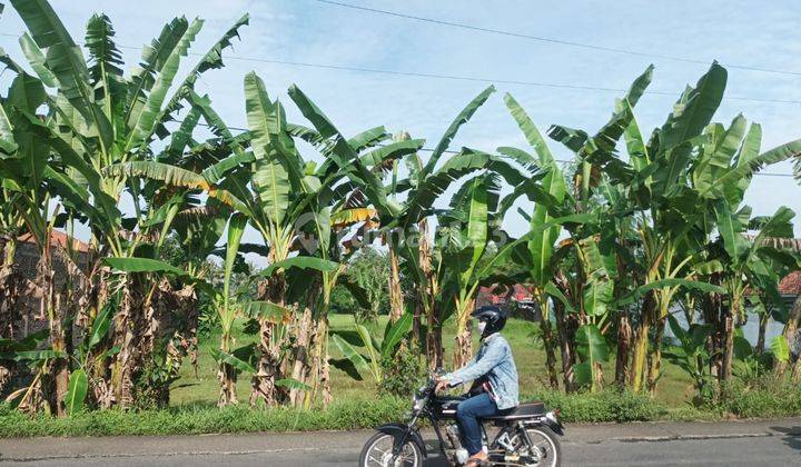 Dijual tanah di karangnanas, Sokaraja, Banyumas 1