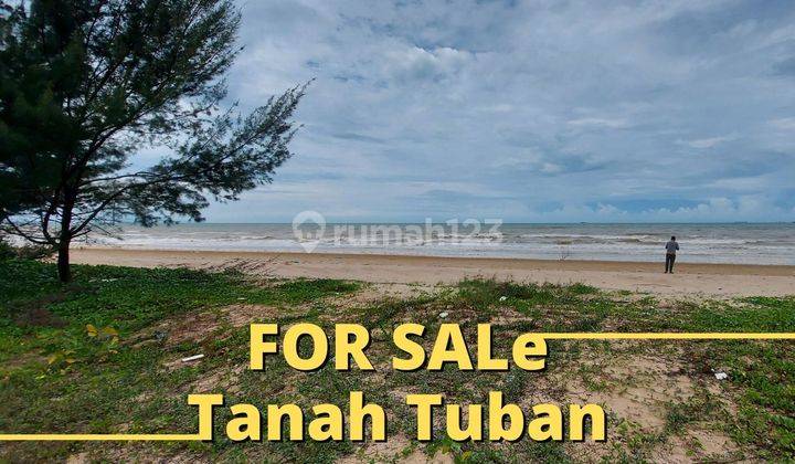 Jual Tanah Tuban Nol Jalan Pantura Zona Industri  2