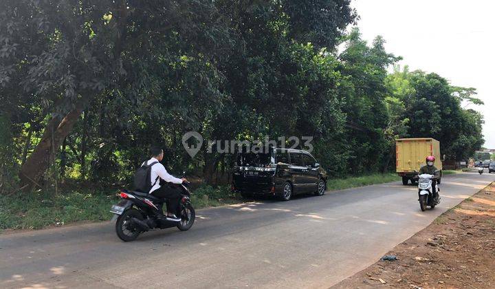 TANAH PADAT DI PURWODADI, SUBANG Cocok untuk Pabrik / Gudang   1