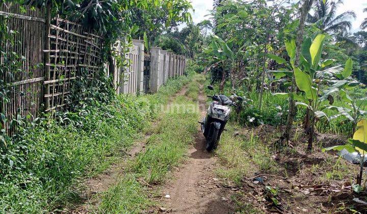 Tanah Kavling di Pedesaan Sisa 3 Unit Lagi Bojong Purwakarta 2