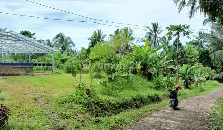 Garden land 14 kilometers from the city of Tabanan Bali 1