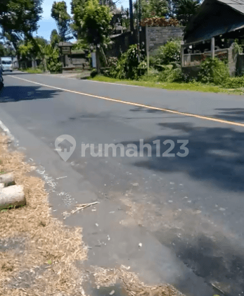 TANAH PINGGIR JALAN RAYA BATURITI BEDUGUL 1