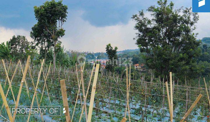 Tanah Dago Giri Untuk Cafe Wisata 17500 M2 2