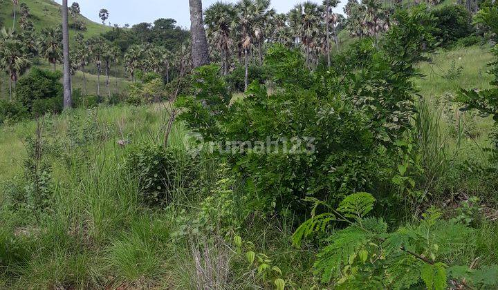 Tanah 2.500 m2, Lokasi area perhotelan bintang 5, Sangat bagus untuk usaha dan bisnis 2