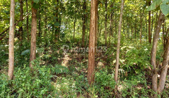 Tanah Sukoharjo Dekat Waduk Mulur Cocok Untuk Inves atau Perumahan